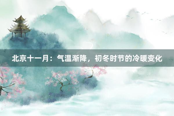 北京十一月：气温渐降，初冬时节的冷暖变化